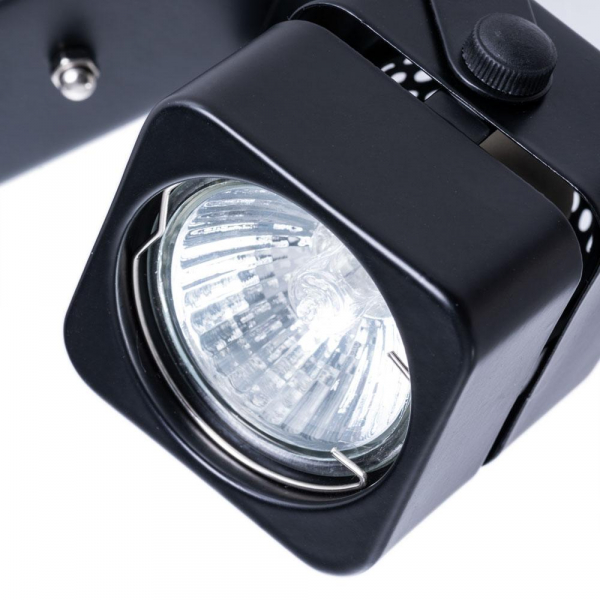 Потолочный светильник Arte Lamp A1315PL-2BK Потолочный светильник Arte Lamp A1315PL-2BK