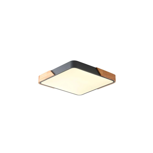 Потолочный светильник Zortes ALBERRO ZRS.01288.60 Потолочный светильник Zortes ALBERRO ZRS.01288.60