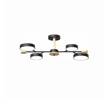 Потолочный cветильник LED4U L3213-670 BK