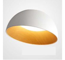 Потолочный светодиодный светильник Imperium Loft Bara 223999-23