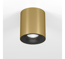 Потолочный светодиодный светильник Elektrostandard Primo 25116/LED a069414