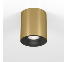 Потолочный светодиодный светильник Elektrostandard Primo 25116/LED a069414