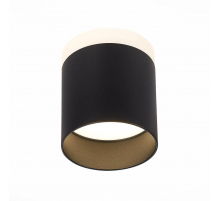 Потолочный светодиодный светильник ST Luce Panaggio ST102.442.12