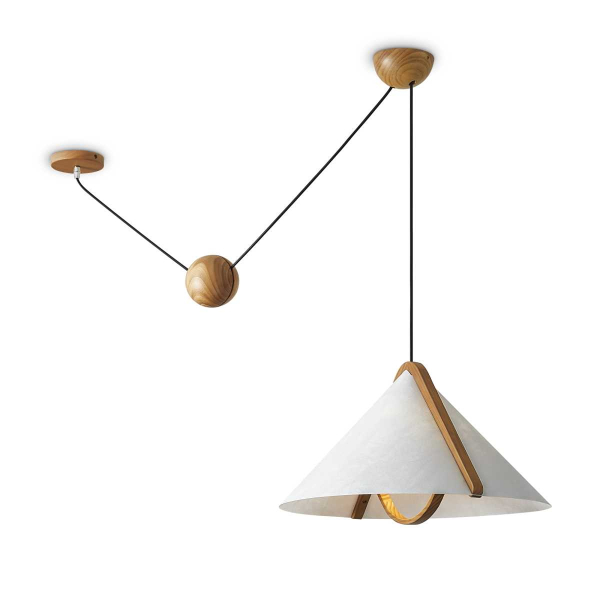 Потолочный светильник Freya Modern FR5554CL-01T