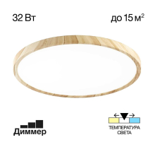 Потолочный светильник Citilux Бейсик Клен CL738322V