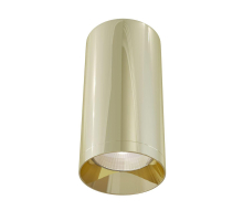 Потолочный светильник Maytoni Technical Focus C010CL-01G