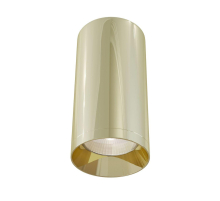 Потолочный светильник Maytoni Technical Focus C010CL-01G
