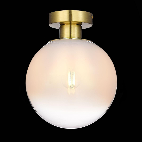 Потолочный светильник ST Luce Cassius SL1190.202.01 Потолочный светильник ST Luce Cassius SL1190.202.01