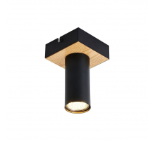 Потолочный светильник F-Promo Olson 4431-1C