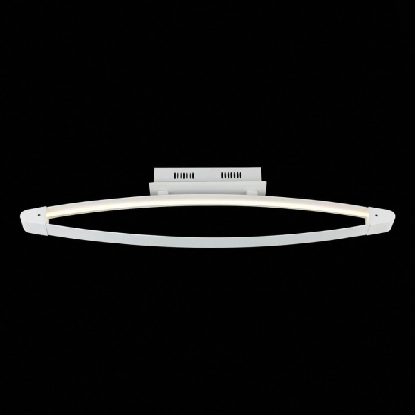 Потолочный светодиодный светильник ST Luce SL920.102.01 Потолочный светодиодный светильник ST Luce SL920.102.01