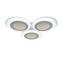 Потолочный светодиодный светильник IMEX PLC-8003-490