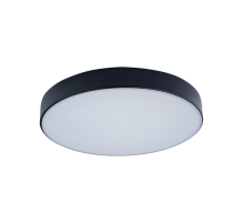 Потолочный светодиодный светильник Loft IT Axel 10002/24 black