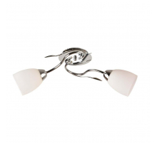 Потолочный светильник ЭкономСвет 11175/2CR WT