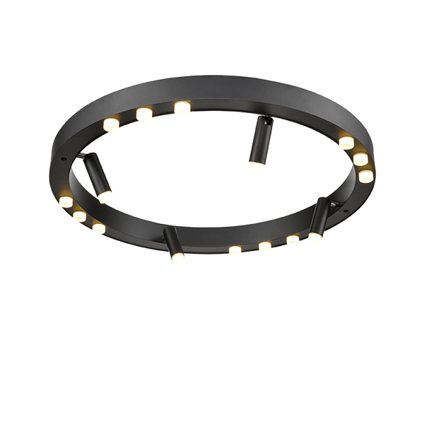 Потолочный светильник Vele Luce Satellite VL7172L12