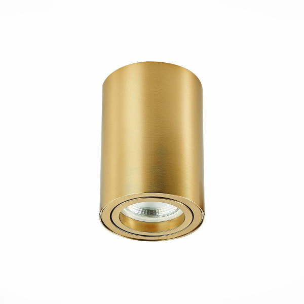 Потолочный светильник ST Luce ST108.207.01 Потолочный светильник ST Luce ST108.207.01