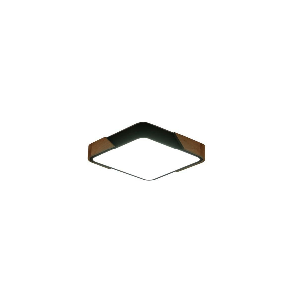 Потолочный светильник Zortes ALBERRO ZRS.01281.60 Потолочный светильник Zortes ALBERRO ZRS.01281.60