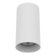 Потолочный светильник Lightstar Rullo 216486