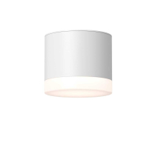 Потолочный светильник Maytoni Technical Pauline C087CL-GX53-W