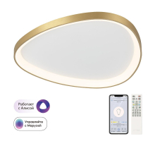 Потолочный светодиодный светильник Citilux Genka Smart CL756A162