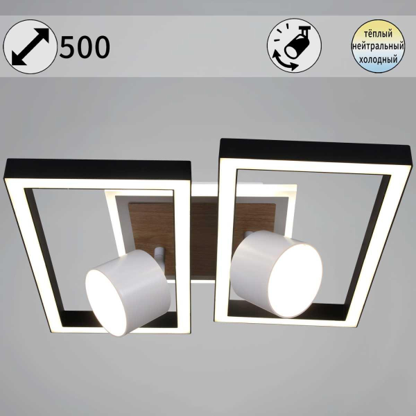 Потолочный светильник Reluce 75406-0.3-2+2+1