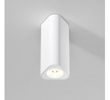 Потолочный светильник Elektrostandard 25110/LED a067063