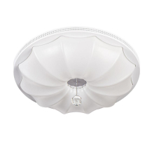 Потолочный светодиодный светильник Escada 10231/S LED