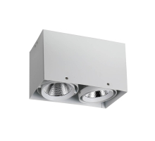 Потолочный светодиодный светильник Favourite Flashled 1986-2U