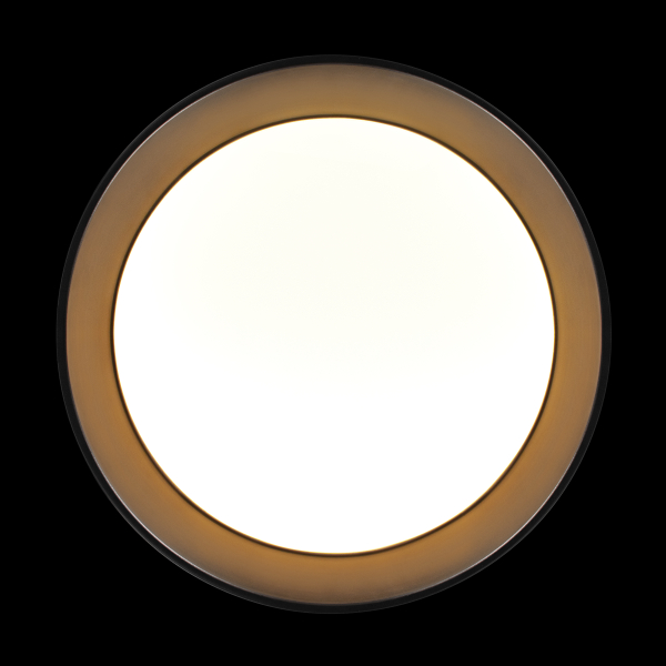 Потолочный светильник Loft it Coin 10202 BB