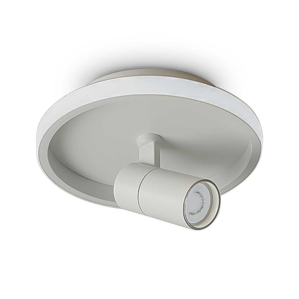 Потолочный светильник Freya Нео / Neo FR6040CL-L14W