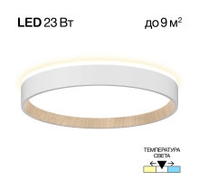 Потолочный светодиодный светильник Citilux Etalon CL750240