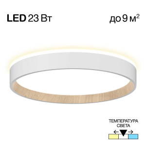 Потолочный светодиодный светильник Citilux Etalon CL750240