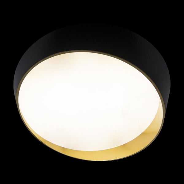 Потолочный светодиодный светильник Loft IT Coin 10199 Black Потолочный светодиодный светильник Loft IT Coin 10199 Black