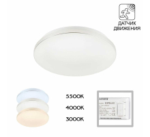 Потолочный светодиодный светильник Citilux Симпла CL71424SV