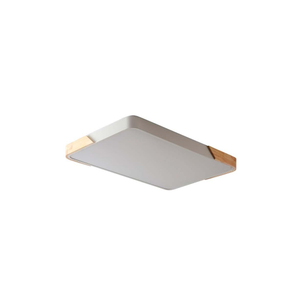 Потолочный светильник Zortes ALBERRO ZRS.01233.60 Потолочный светильник Zortes ALBERRO ZRS.01233.60