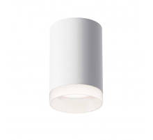 Потолочный светильник Maytoni Pauline C008CW-01W