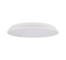 Потолочный светодиодный светильник Loft IT Brim 10226 White