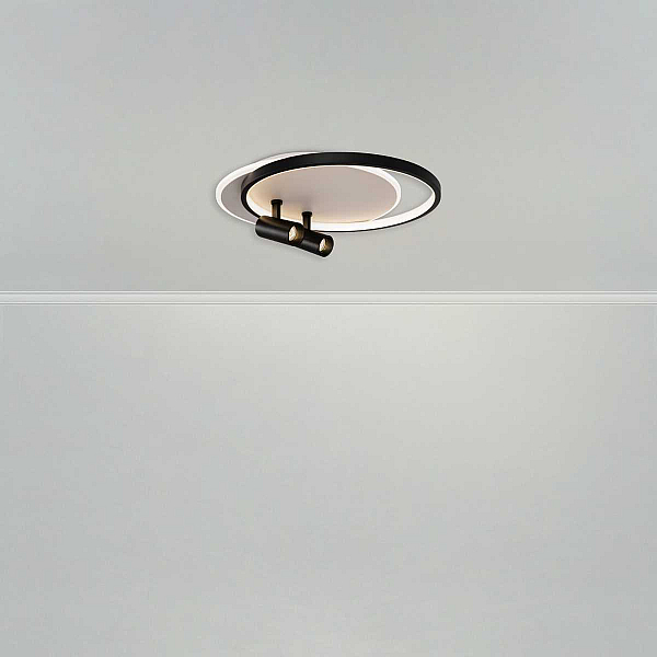 Потолочный светильник Freya Прожекторы / Spotlights FR6083CL-L106WB