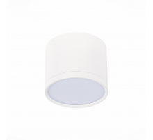 Потолочный светодиодный светильник ST Luce Rene ST113.532.09