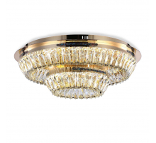 Потолочный светодиодный светильник Ambrella light Traditional TR5031