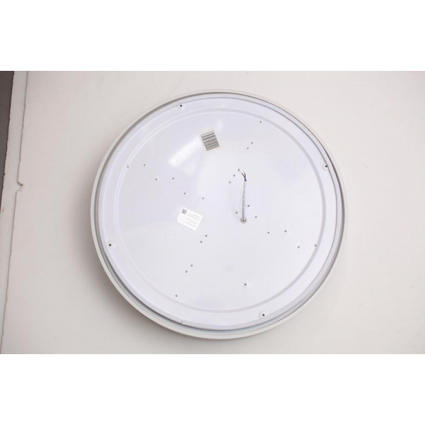 Потолочный светодиодный светильник Escada 10246/1LED Потолочный светодиодный светильник Escada 10246/1LED