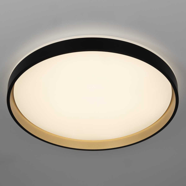 Потолочный светильник Citilux CL753511G