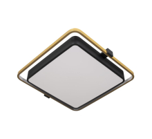 Потолочный светодиодный светильник Loft IT Mike 10172