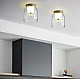 Потолочный светильник Imperium Loft Clarity B 243715-26