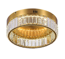 Потолочный светодиодный светильник MyFar Irina MR2010-1CL