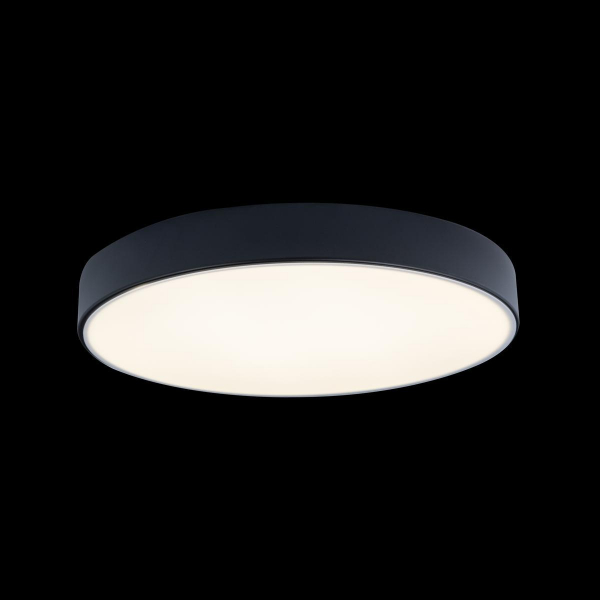 Потолочный светодиодный светильник Loft IT Axel 10002/24 black Потолочный светодиодный светильник Loft IT Axel 10002/24 black