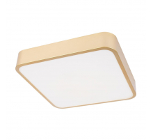 Потолочный светодиодный светильник Loft IT Flims 10228/C