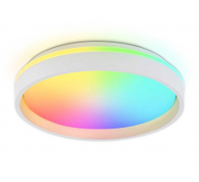 Потолочный светодиодный светильник Ambrella light Orbital Dance FZ601