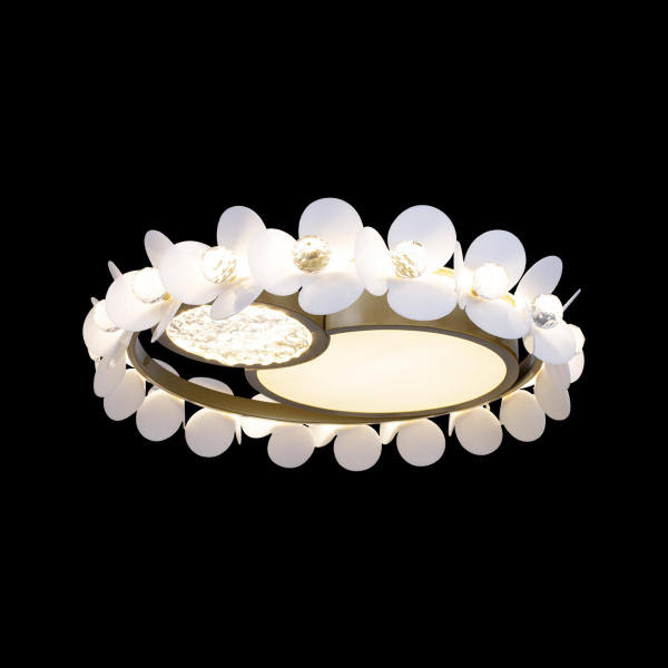 Потолочный светодиодный светильник Loft IT Bride 10173 Потолочный светодиодный светильник Loft IT Bride 10173