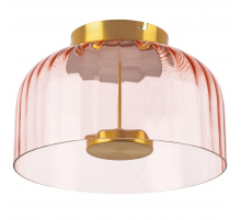 Потолочный светодиодный светильник Lightstar Celesta 809062