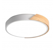 Потолочный светодиодный светильник Jazzway PPB Sсandic-R 5036932